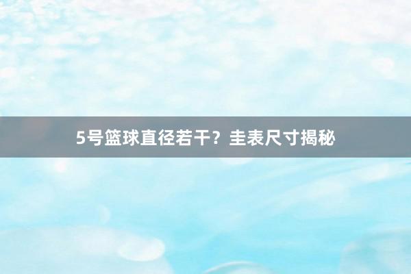 5号篮球直径若干？圭表尺寸揭秘